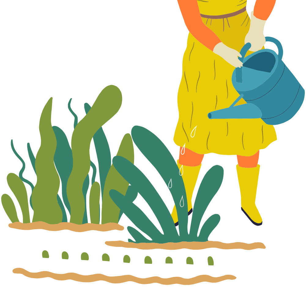 Protecting, preserving and enhancing wealth